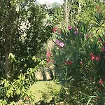 Vendégház Casa Della Musica - Elegante Storica Con Giardino E Piscina Ostra
