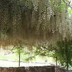 Casa Della Musica - Elegante Storica Con Giardino E Piscina Ostra