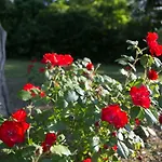 Casa Della Musica - Elegante Storica Con Giardino E Piscina 4*