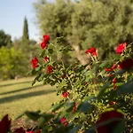 Casa Della Musica - Elegante Storica Con Giardino E Piscina Ostra
