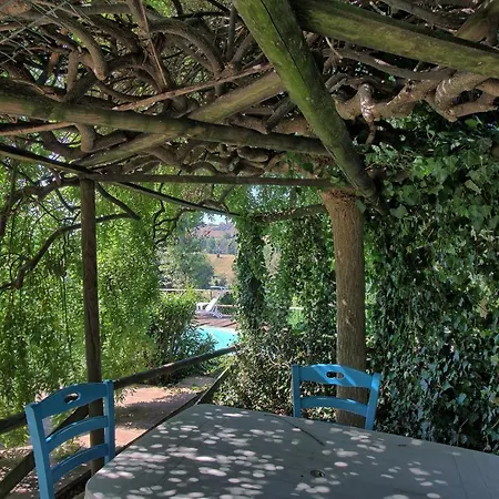 Gasthuis Casa Della Musica - Elegante Storica Con Giardino E Piscina Ostra