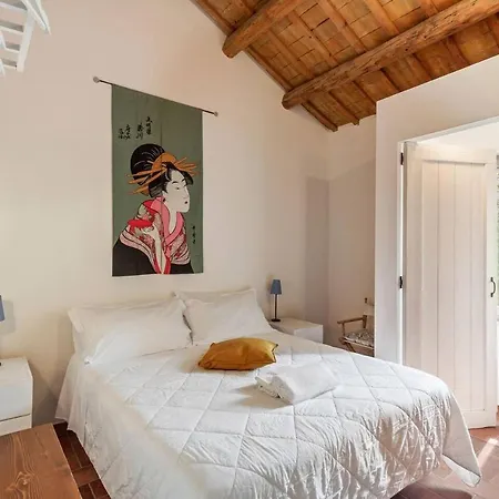 Grande Storica Per Vacanze Con Giardino Privato E Piscina 2* Ostra