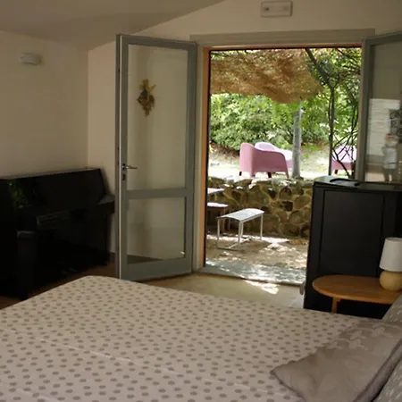 Gasthuis Casa Della Musica - Elegante Storica Con Giardino E Piscina