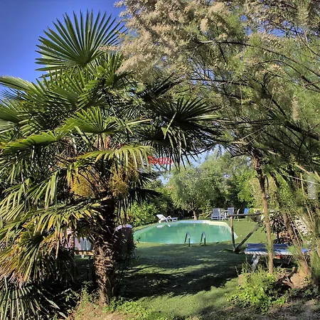 Casa della Musica - Elegante villa storica con giardino e piscina Affittacamere Ostra