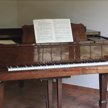 Gasthuis Casa Della Musica - Elegante Storica Con Giardino E Piscina Ostra