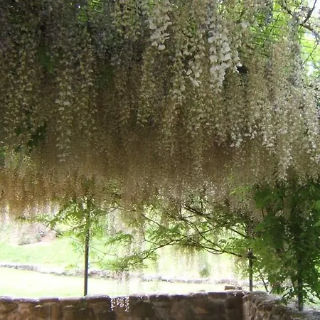 Casa Della Musica - Elegante Storica Con Giardino E Piscina Ostra