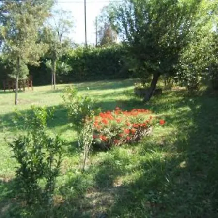 Gasthuis Casa Della Musica - Elegante Storica Con Giardino E Piscina