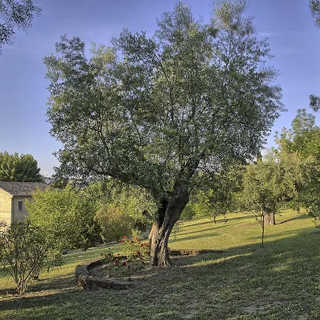 Casa della Musica - Elegante villa storica con giardino e piscina 4* Ostra