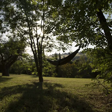 Casa Della Musica - Elegante Storica Con Giardino E Piscina Gasthuis Ostra