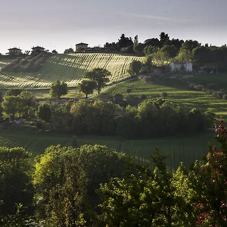 Affittacamere Casa della Musica - Elegante villa storica con giardino e piscina Ostra