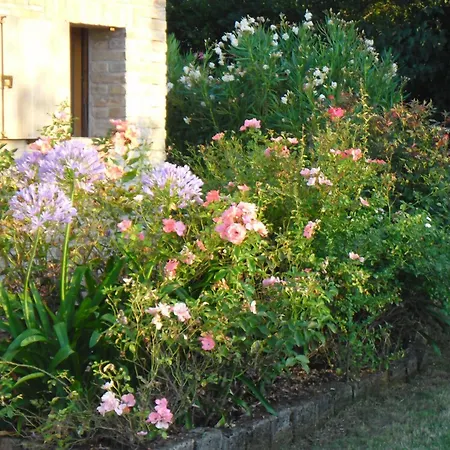 Casa della Musica - Elegante villa storica con giardino e piscina
