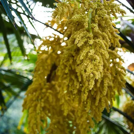Casa Della Musica - Elegante Storica Con Giardino E Piscina 4*