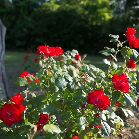 Casa della Musica - Elegante villa storica con giardino e piscina 4*