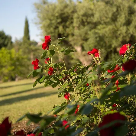 Casa della Musica - Elegante villa storica con giardino e piscina Ostra