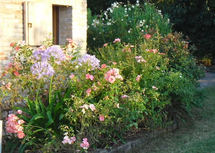 Casa Della Musica - Elegante Storica Con Giardino E Piscina