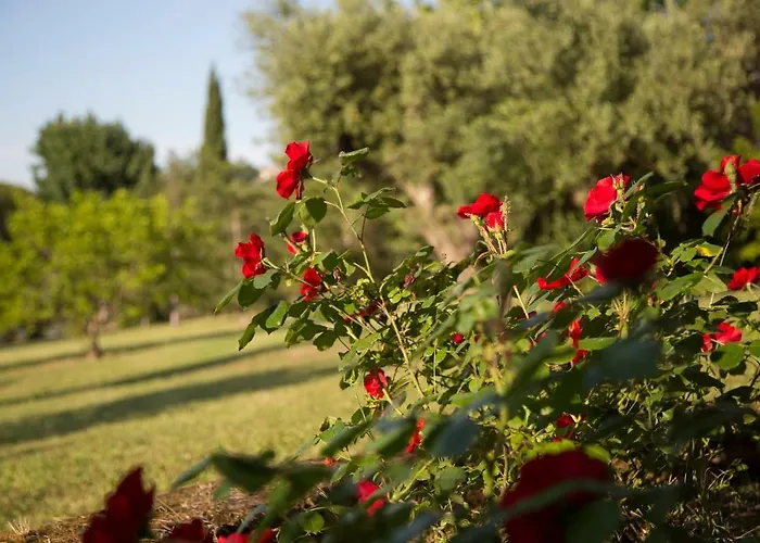 Casa Della Musica - Elegante Storica Con Giardino E Piscina Ostra